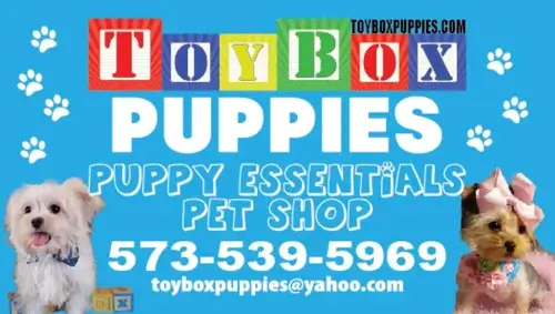 Toy Box Puppies Logo